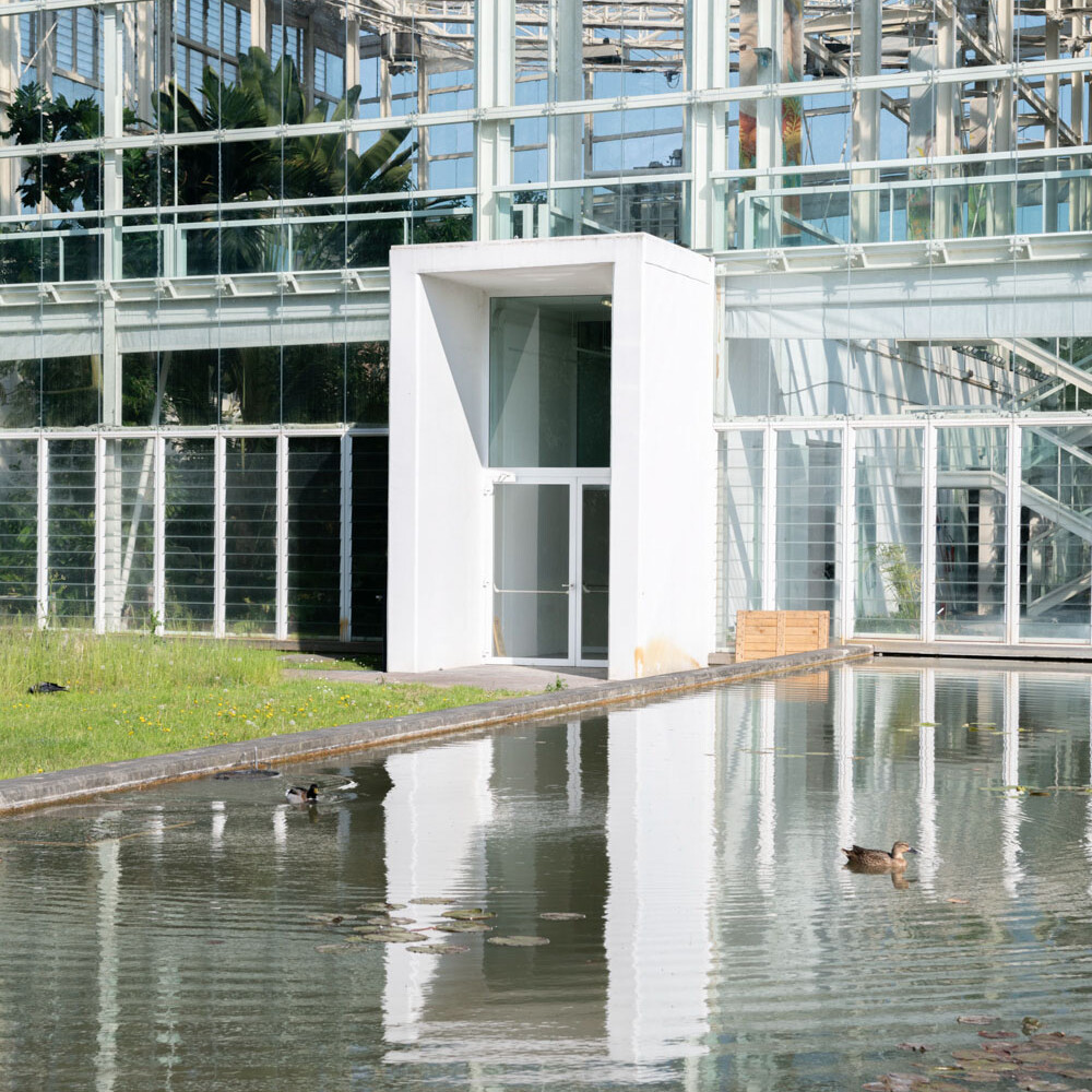 Sopralluogo all'Orto e al Museo Botanico di Padova con la prof.ssa Elena Canadelli, associata in Storia della Scienza, Dipartimento di Scienze Storiche, Geografiche e dell'Antichità (DiSSGeA), Università degli Studi di Padova, alla dott.ssa Maria Barbara Liccardi, e al prof. Tommaso Anfodillo, responsabile del Centro Studi per l'Ambiente Alpino di S. Vito di Cadore - Foto Teresa De Toni