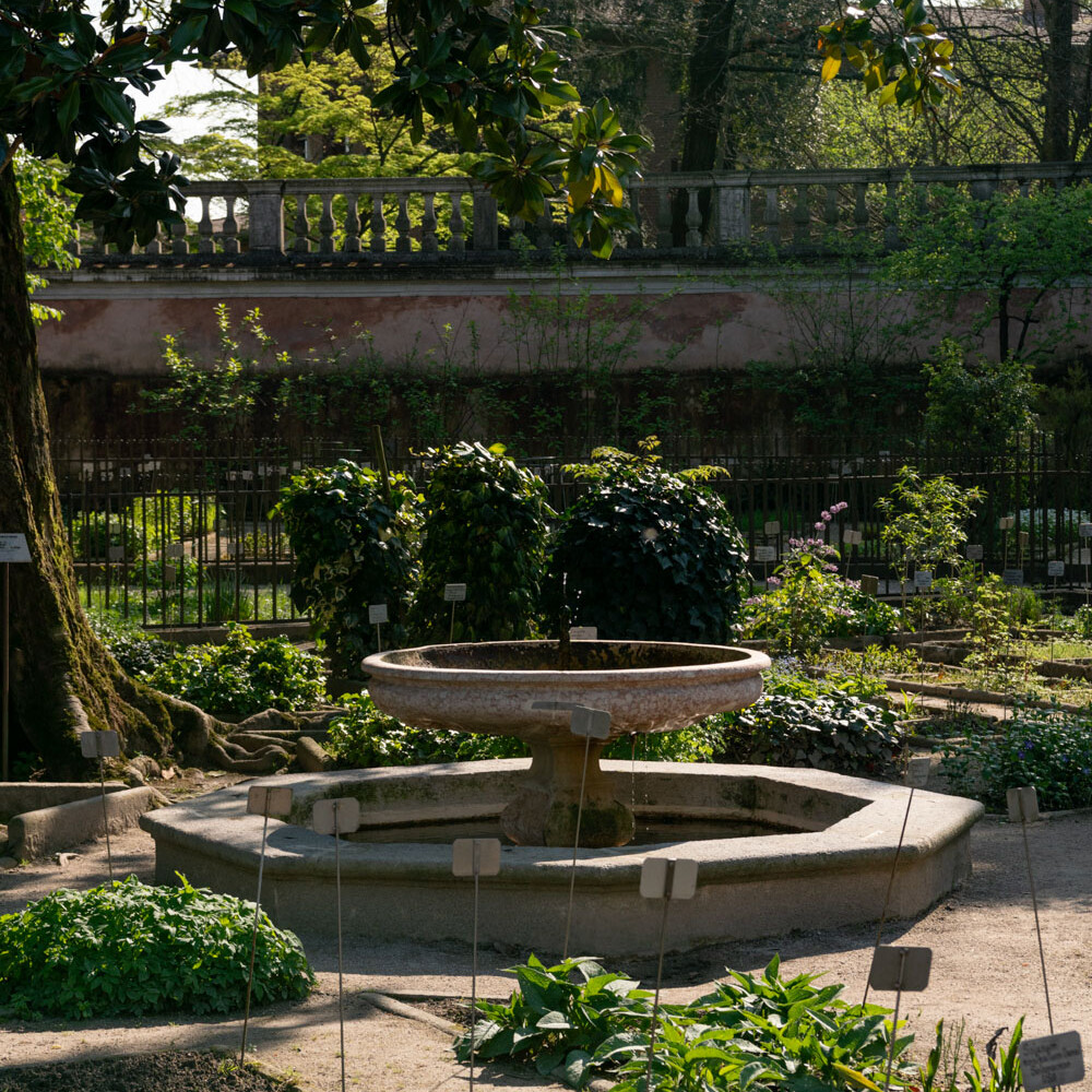Sopralluogo all'Orto e al Museo Botanico di Padova con la prof.ssa Elena Canadelli, associata in Storia della Scienza, Dipartimento di Scienze Storiche, Geografiche e dell'Antichità (DiSSGeA), Università degli Studi di Padova, alla dott.ssa Maria Barbara Liccardi, e al prof. Tommaso Anfodillo, responsabile del Centro Studi per l'Ambiente Alpino di S. Vito di Cadore - Foto Teresa De Toni